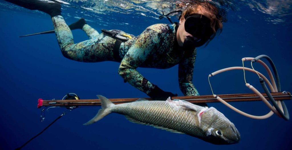 ¿Cuál Es El Mejor Traje De Pesca Submarina En 2020?